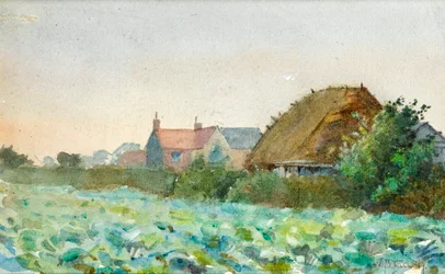 Crops in a Field